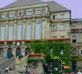 anklicken zum Vergr��ern - click to enlarge