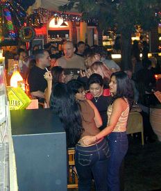 anklicken zum Vergr��ern - click to enlarge